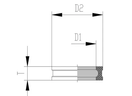 Dichtungsring